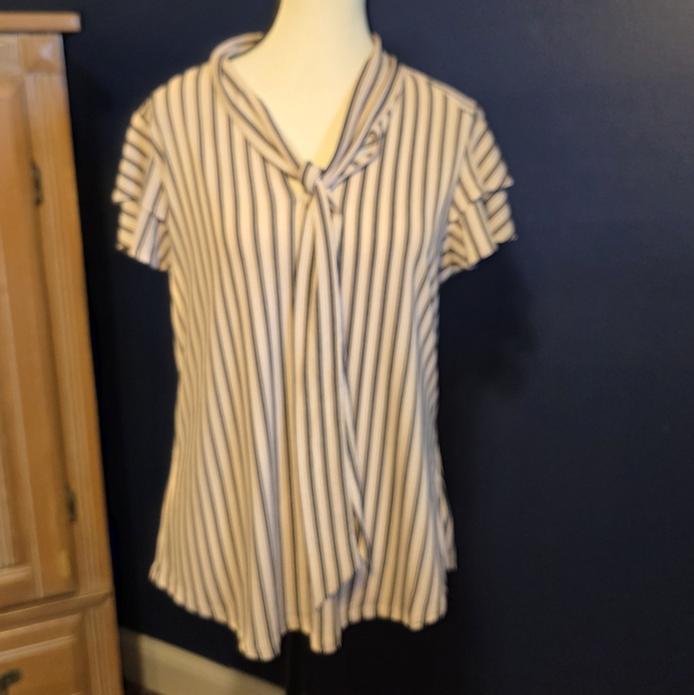 Adrianna Papell Navy and White Striped Blouse